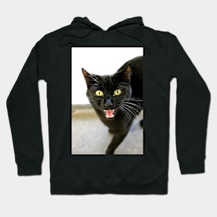 Fangs Mate Hoodie